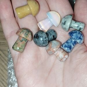 Mini Polished Gemstone Mushroom Carvings - Multicolor